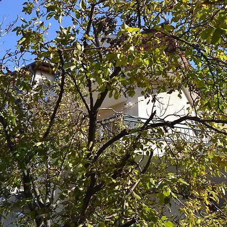 K Βελιγράδι